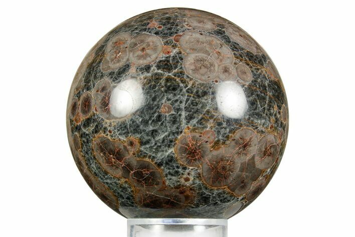 Polished Orbicular Rhyolite (Peanut Obsidian) Sphere - Mexico #371238